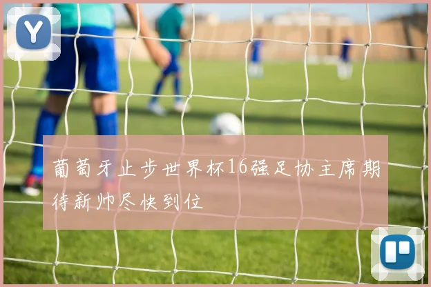 葡萄牙止步世界杯16强足协主席期待新帅尽快到位