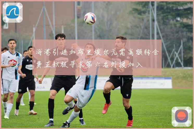 海港引进加布里埃尔无需高额转会费正积极寻求第六名外援加入